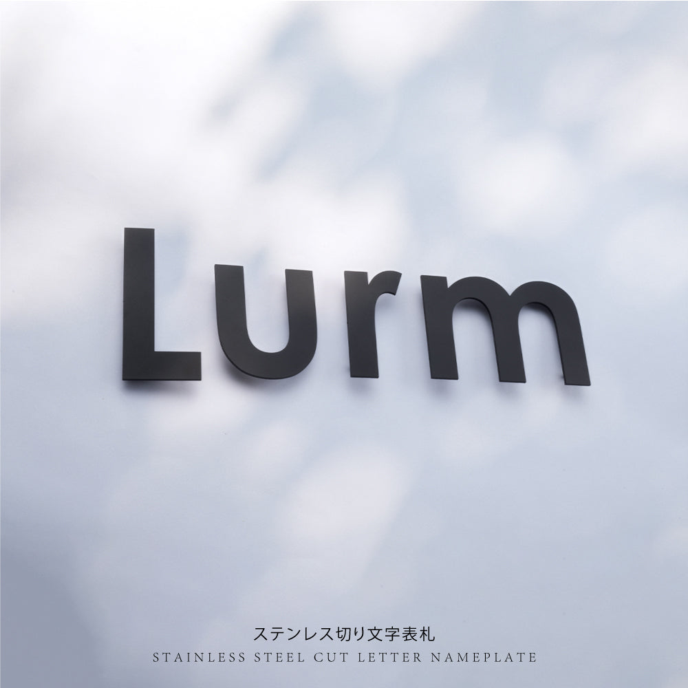 【必要な文字数でご注文してください】表札 ステンレス 切り文字 バラ文字 50角 80角 100角 即日 gs-nmpl-ks-eng