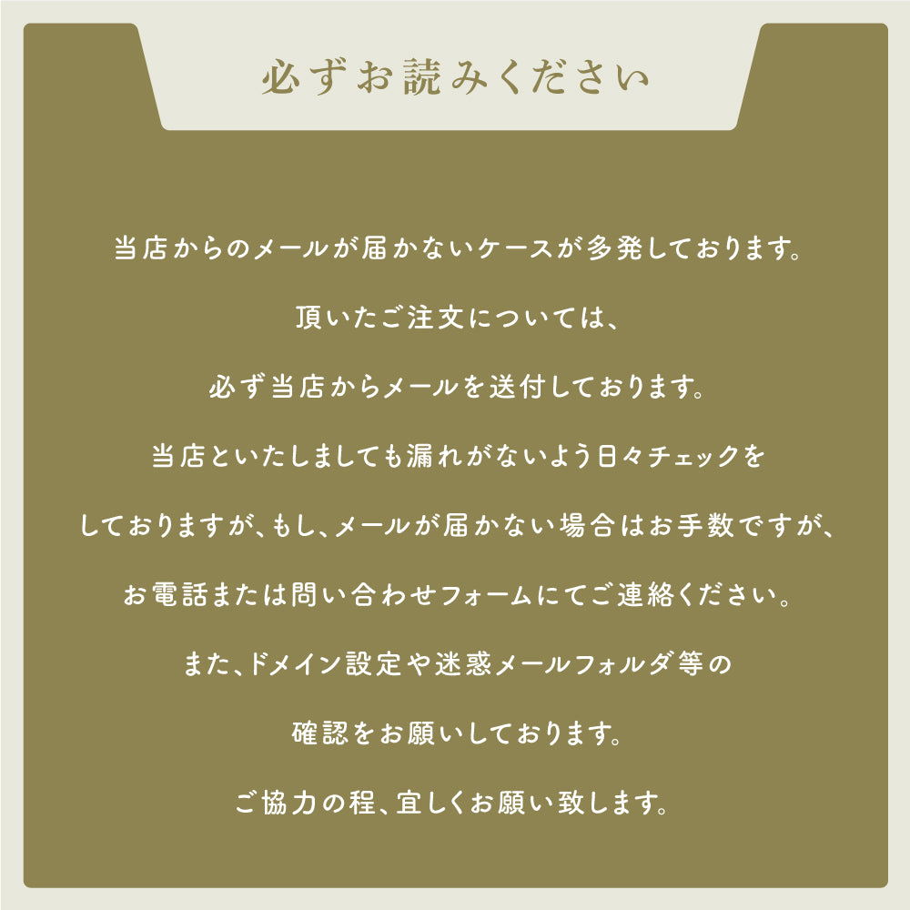 表札 ステンレス 戸建て 玄関 漢字+ローマ字 おしゃれ オシャレ アイアン 戸建 一軒家 新築祝い gs-nmpl-1027