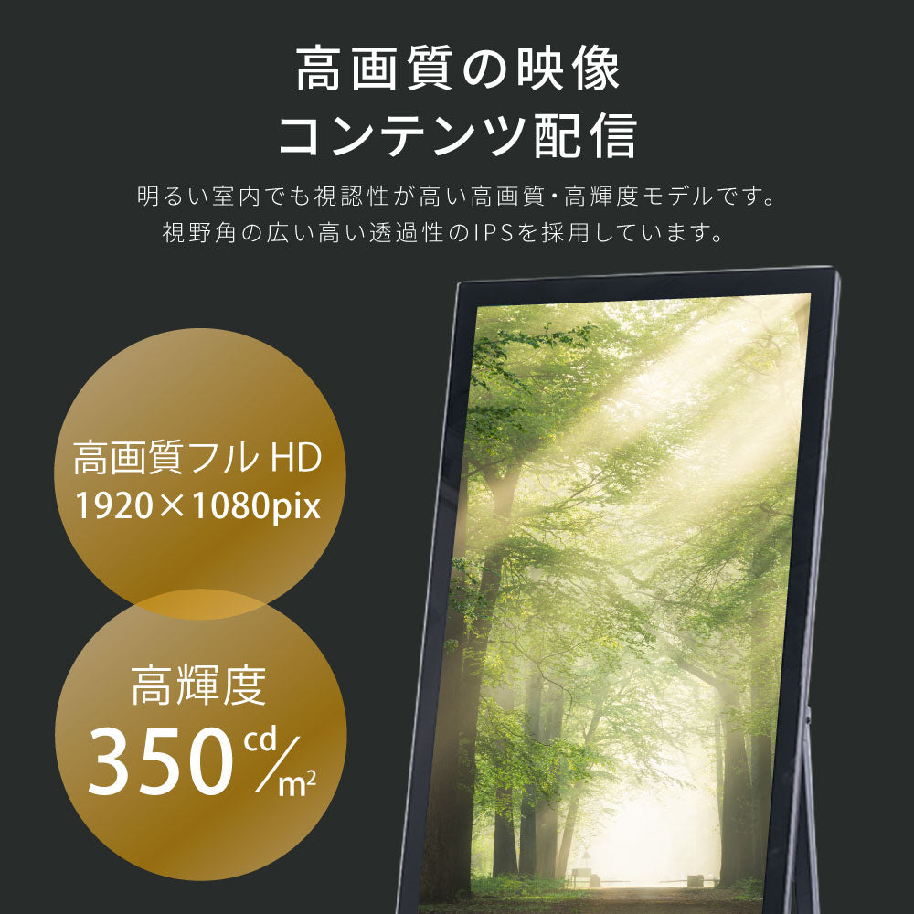 屋内仕様 2色選べる 43型 A型スタンド付超薄型 デジタルサイネージ W587xH1522mm tv-43