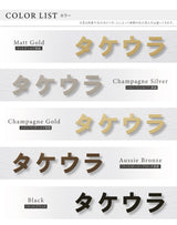 表札 ステンレス 1文字価格 表札 カタカナ＜一文字表札＞ 文字高30〜50mm 表札 アイアン おしゃれ gs-nmpl-1042